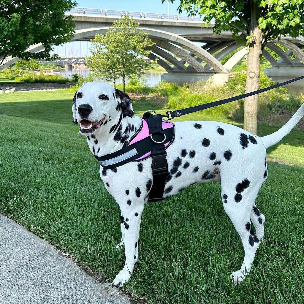 DAYSBreathable Reflective Dog Harness - Breathable And Adjustable PEt Vest For Outdoor Walking Travel Pet Harness With Control Handle