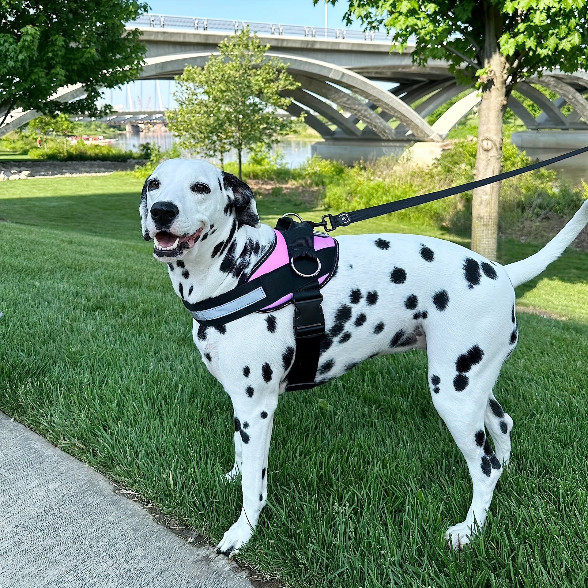 DAYSBreathable Reflective Dog Harness - Breathable And Adjustable PEt Vest For Outdoor Walking Travel Pet Harness With Control Handle
