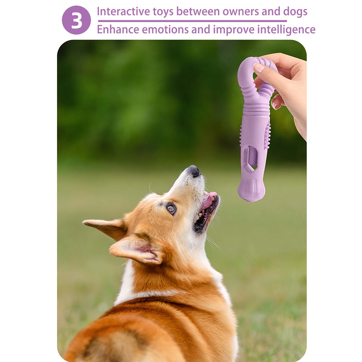 Bite-Resistant Nylon Dog Bully Stick Holder with Rotating Bone Dispenser - Dental & Chew Toys for Aggressive Chewers, Small/Purple for Puppies & Small Dogs (all Breeds)